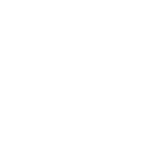 copy of logo araisis (2)