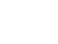copy of logo araisis (1050 x 1000 px) (1050 x 800 px) (1)